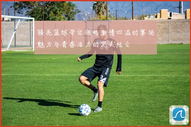 骚亮篮球带你领略激情四溢的赛场魅力与青春活力的完美结合