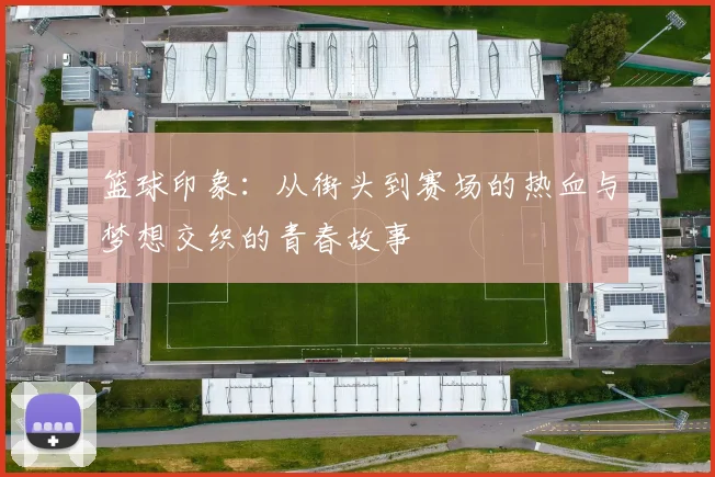 篮球印象：从街头到赛场的热血与梦想交织的青春故事