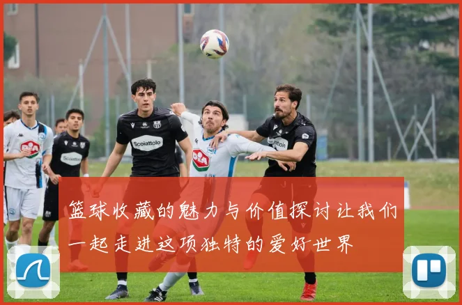 篮球收藏的魅力与价值探讨让我们一起走进这项独特的爱好世界