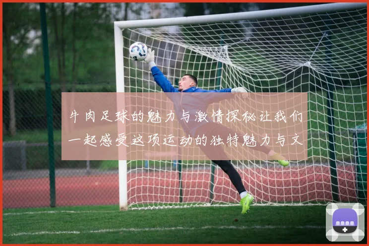 牛肉足球的魅力与激情探秘让我们一起感受这项运动的独特魅力与文化