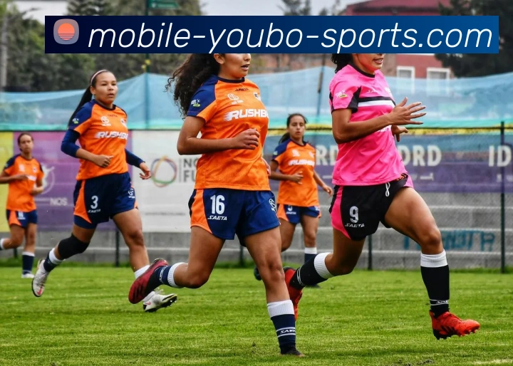 友博官网全站App